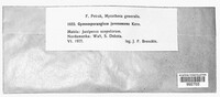 Image Associated With the Occurence